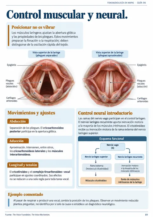 Página: Control muscular y neural de la laringe