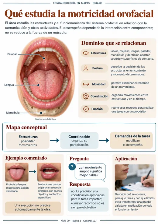Página: Qué estudia la motricidad orofacial